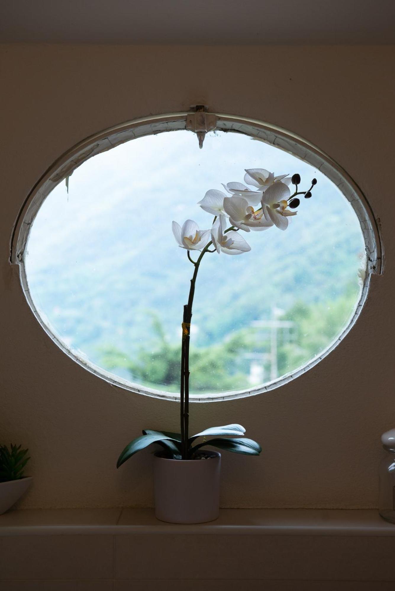 Appartamento "Bella Vista" Sul Lago Di Como Faggeto Lario Exteriér fotografie